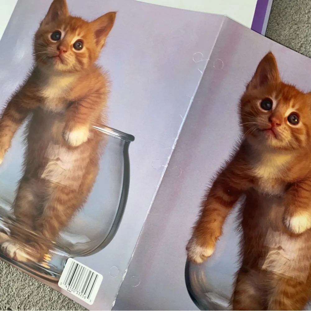 Vintage G.K. & Vikki Hart Photography Mead Portfolio Folder Cat Purrs &‎ Grrrs 2